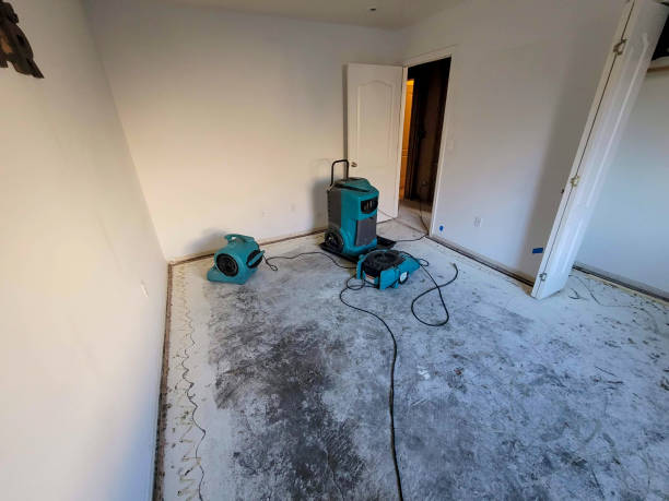 Best Emergency water damage restoration  in Rainbow, CA