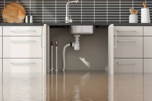 Best Water damage restoration near me  in Rainbow, CA