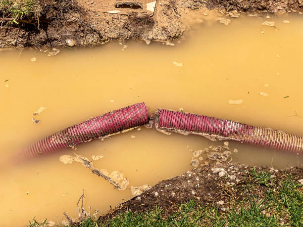 Rainbow, CA Water damage restoration Company
