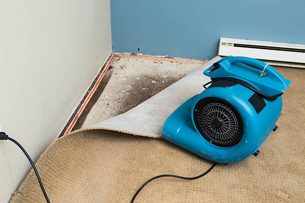 Best 24-hour water damage restoration  in Rainbow, CA